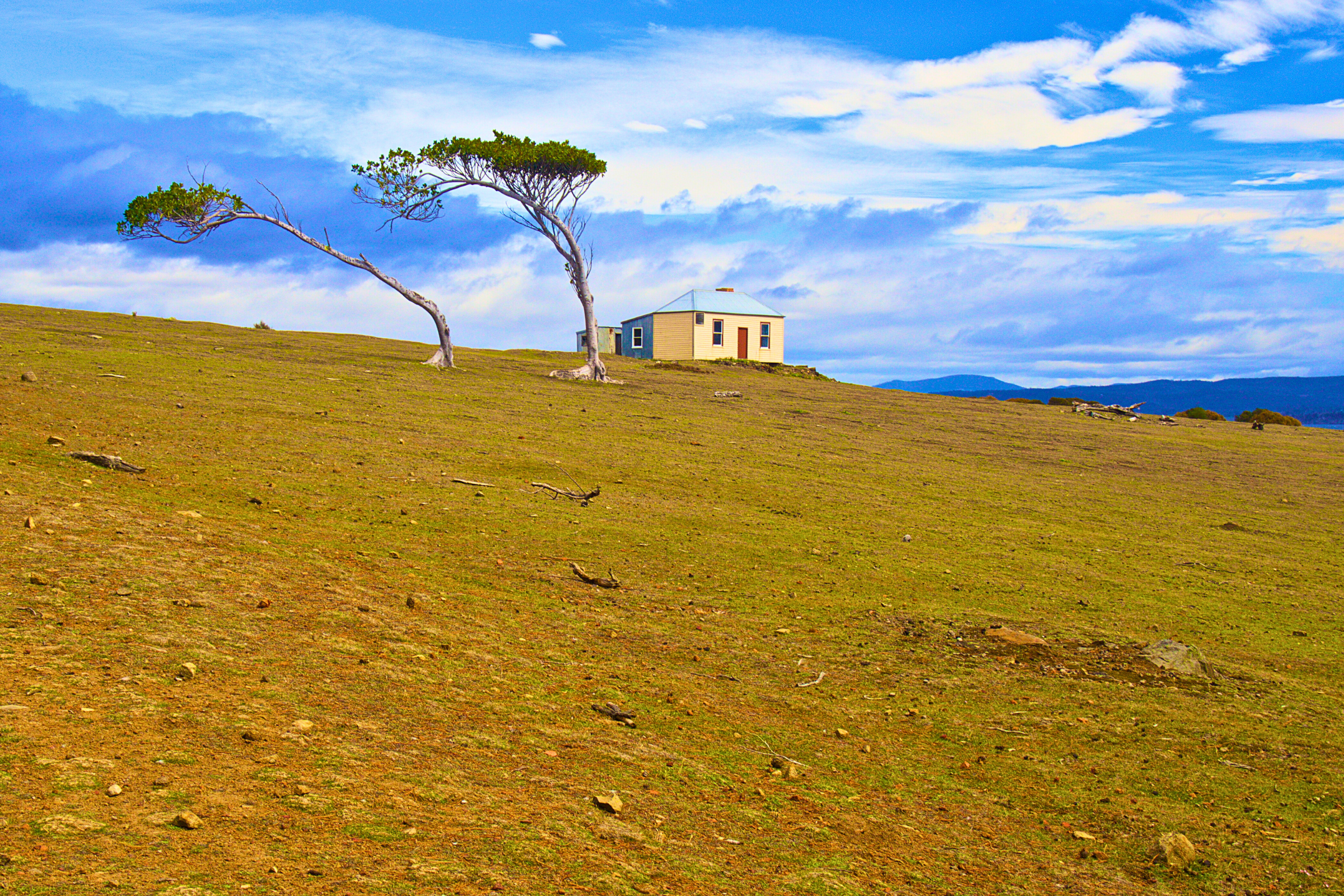 maria island, tasmania.webp